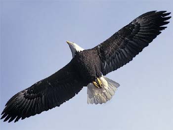 />
</div>

<div class=